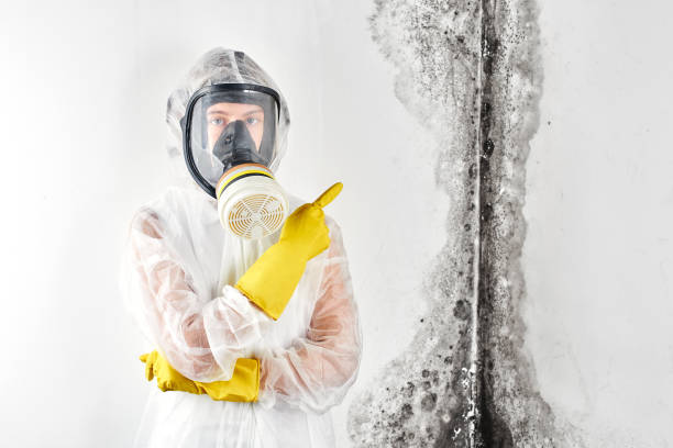 Best Asbestos and Lead Testing During Mold Inspection  in Poydras, LA