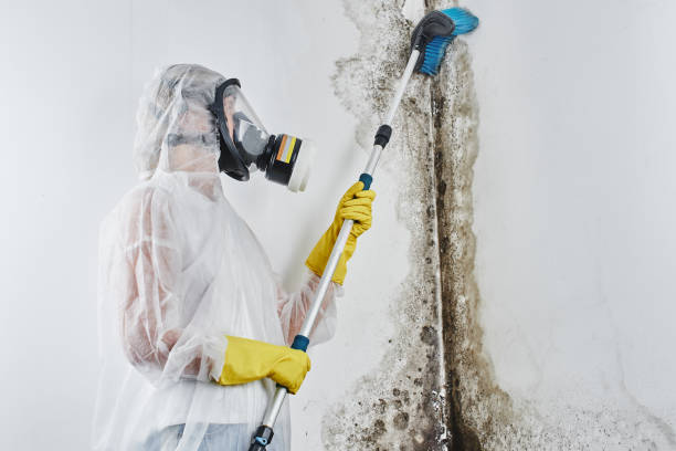 Best Biohazard Mold Removal  in Poydras, LA