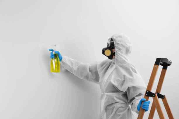 Best Residential Mold Inspection & Testing  in Poydras, LA